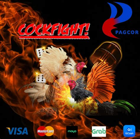 sabong tupada|sabong nation net.